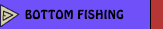 BOTTOM FISHING