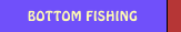 BOTTOM FISHING